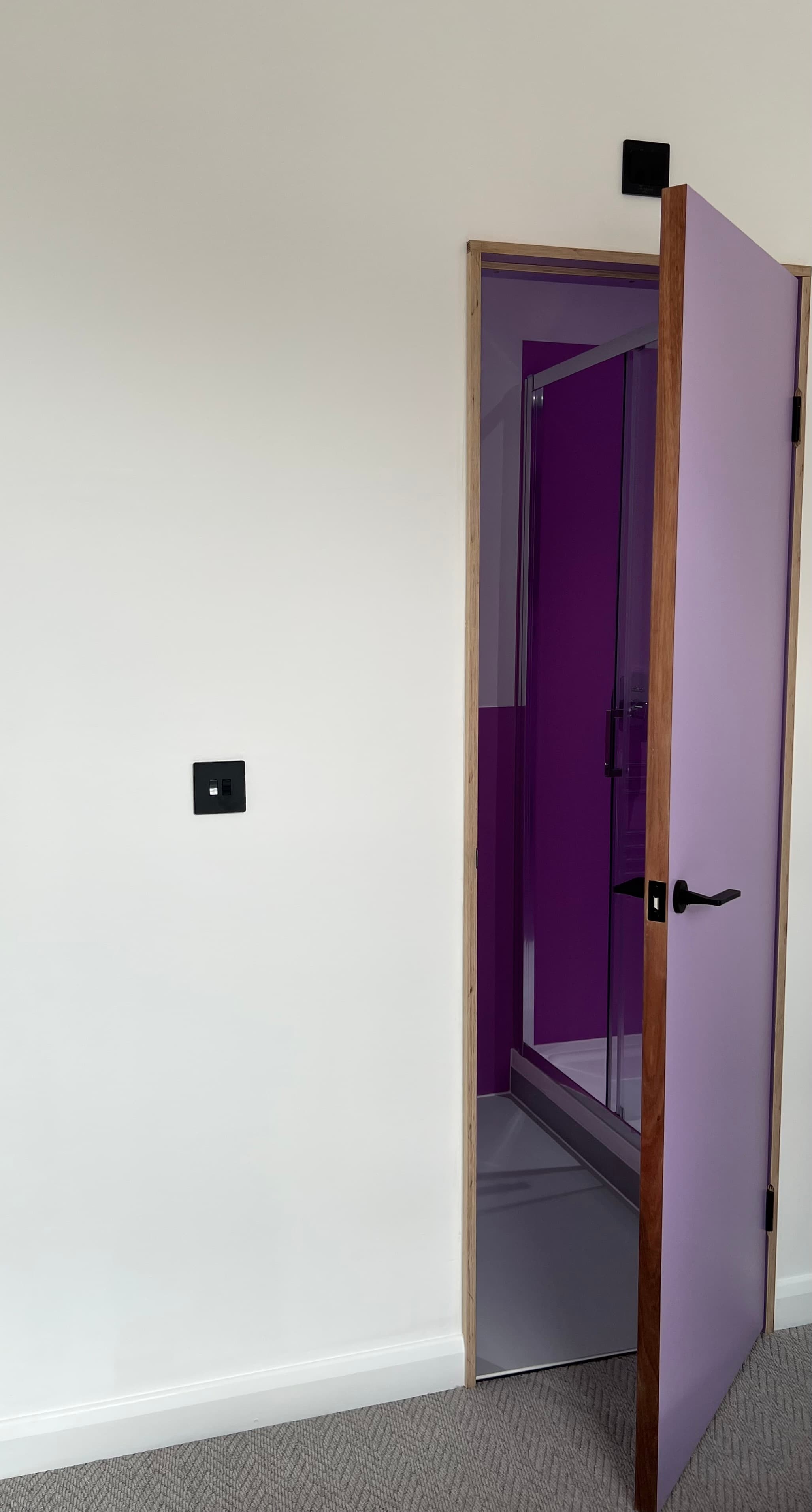 Doorway view into the compact apartment interior